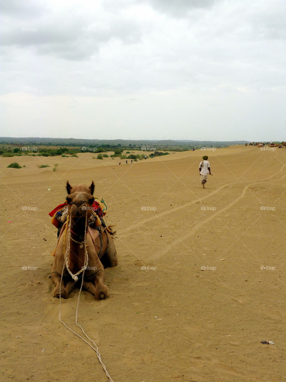 a man and a camel into the indian desert