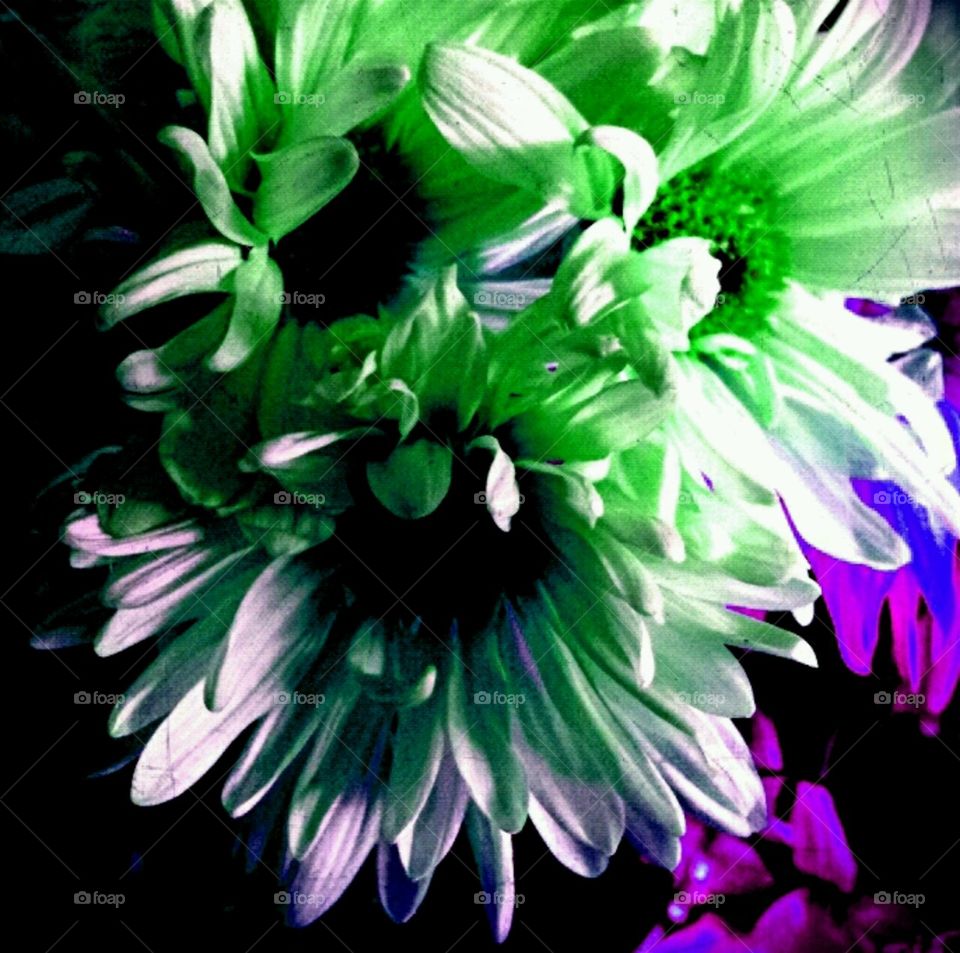 grace. lighting effects