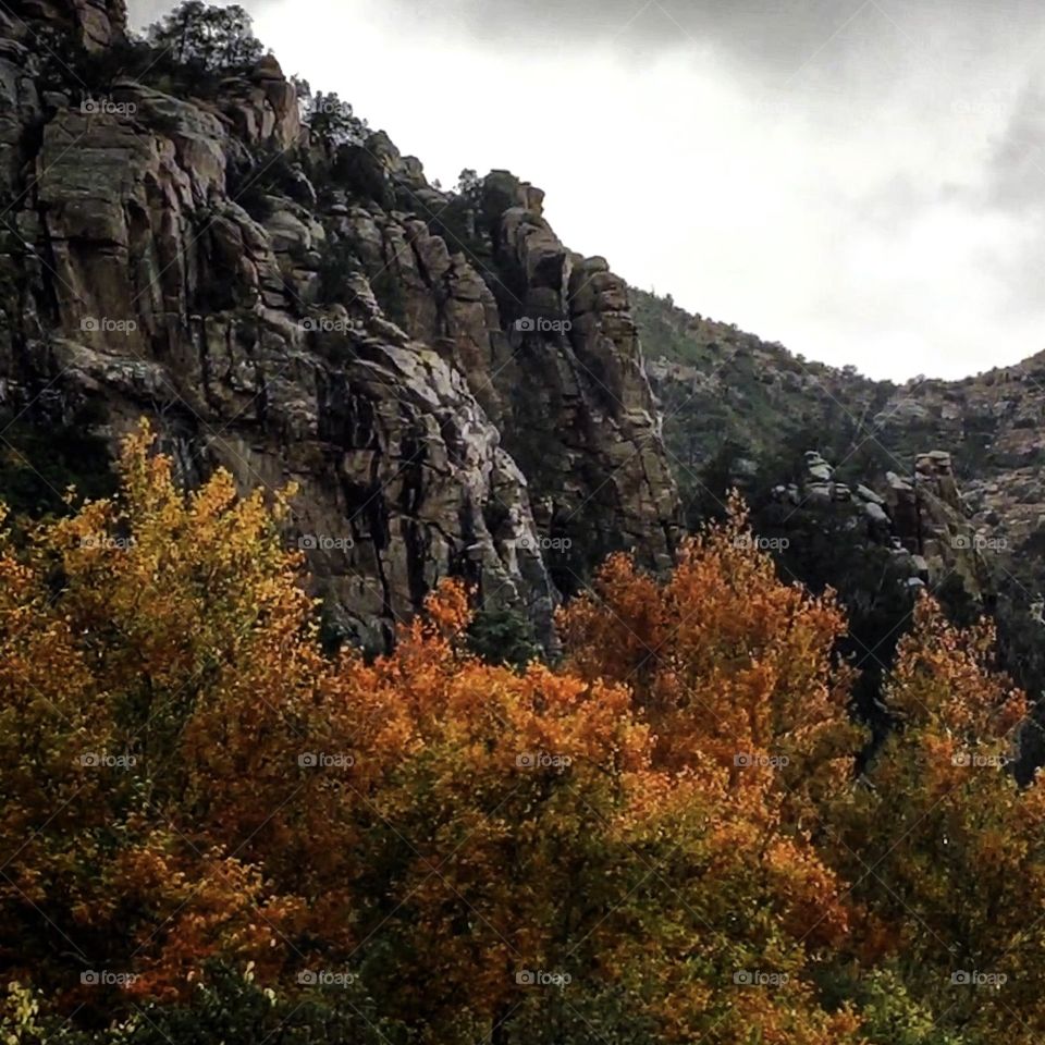 Fall Nature Mountain Landscape 