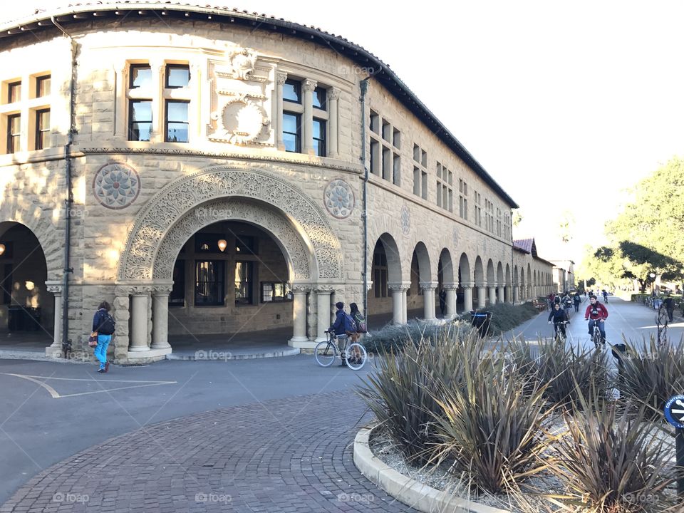 Students at Stanford University. 