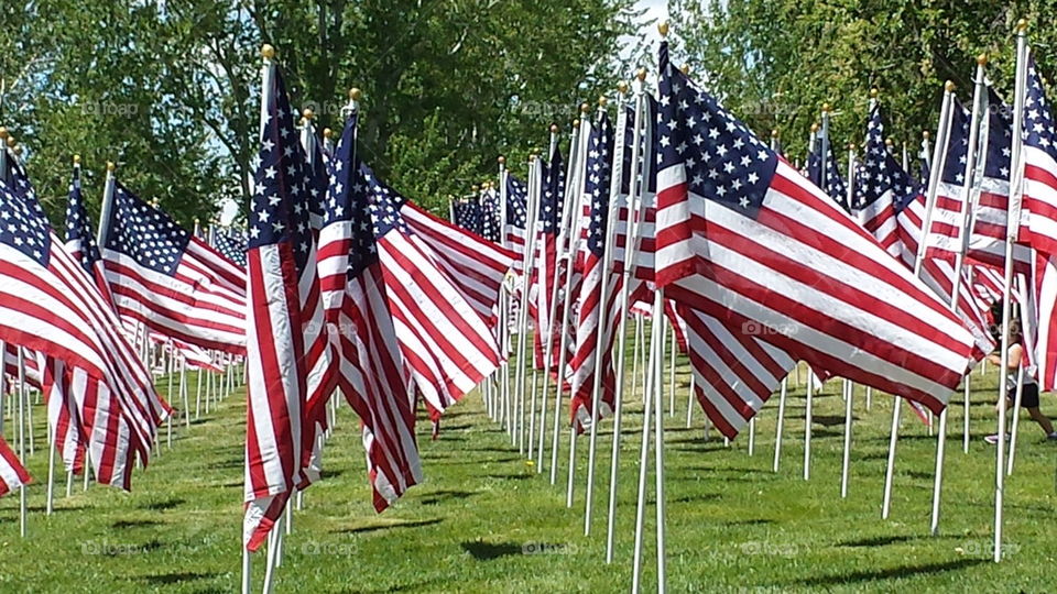 flags of the brave