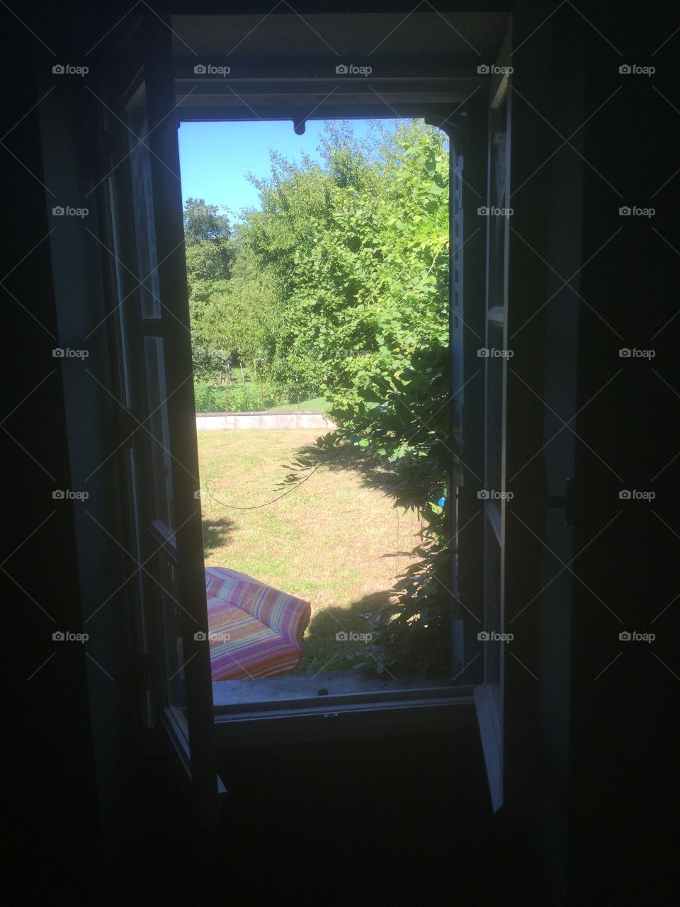 Window onto the garden 