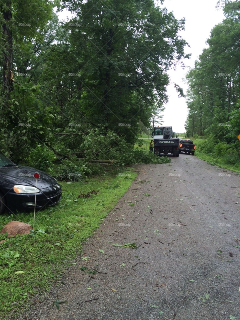 Workers cleaning up fallen trees and debris from a storm
