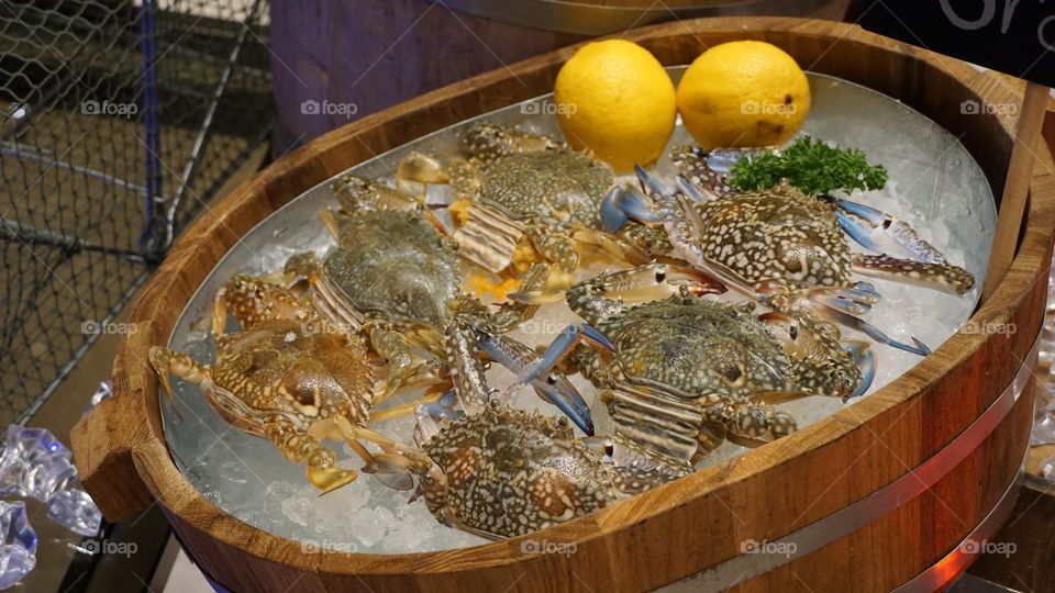 sea crab