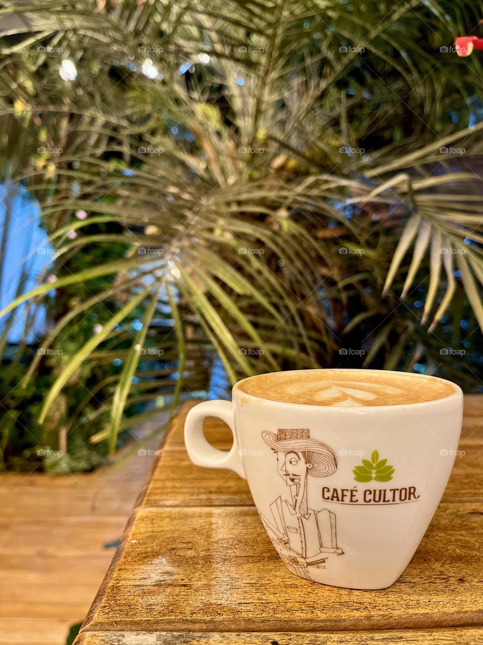 Green plants and white cup of coffee 