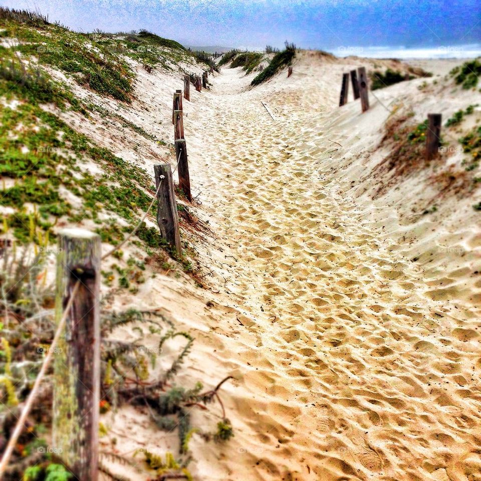 sand beach united states pacific grove by PeterNichols