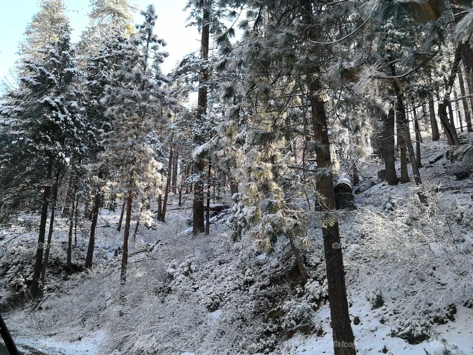 Cold morning at yosemite