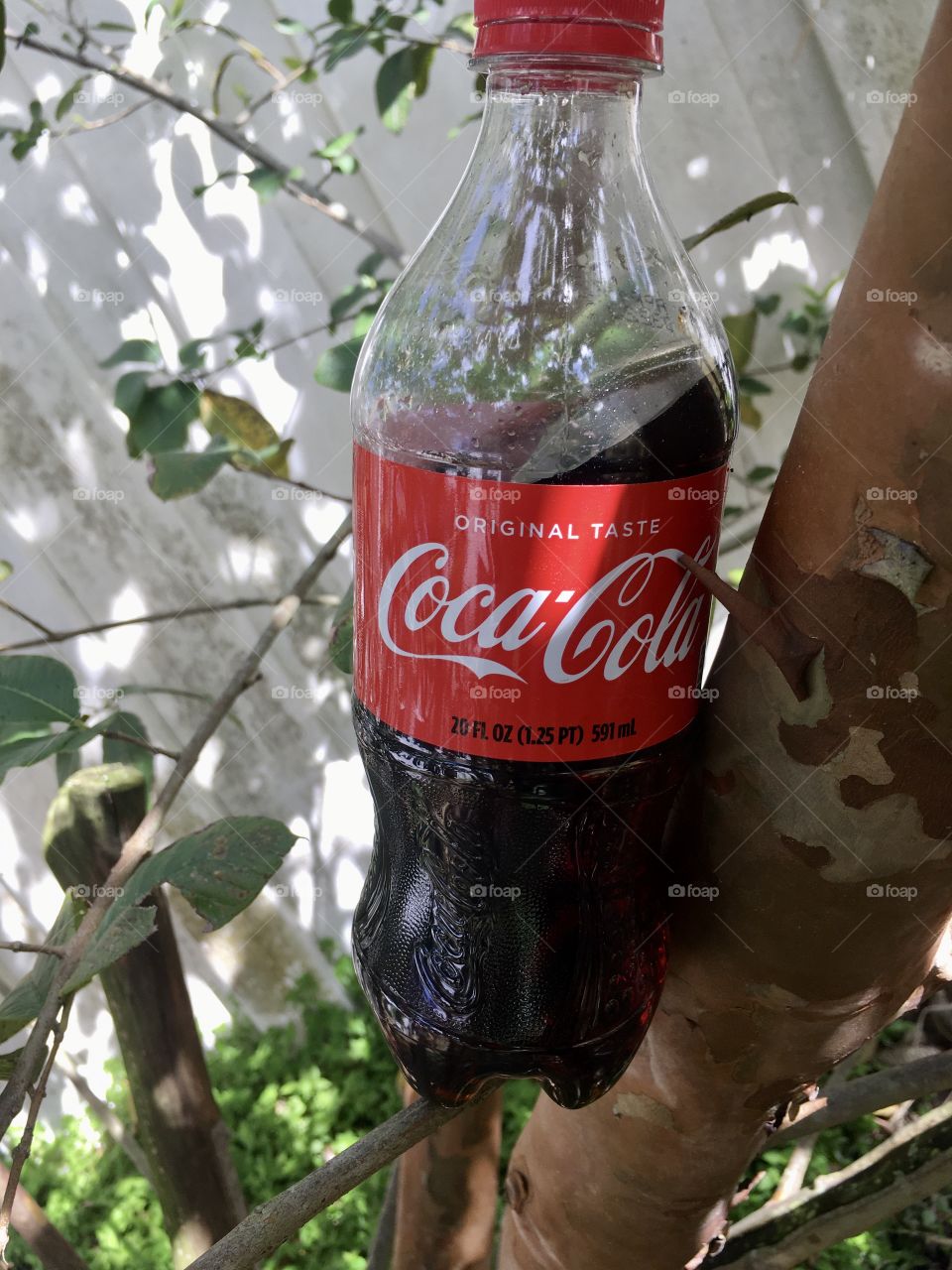 Coca-Cola photography mission 