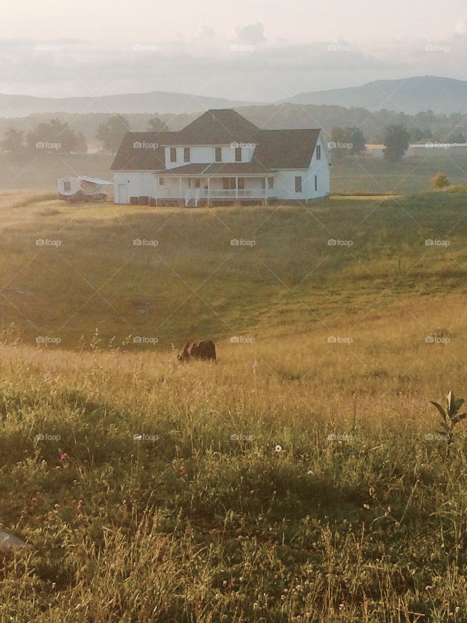 House in the hills. West Virginia house with pasture