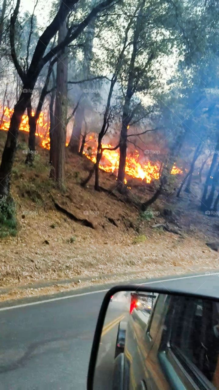 camp fire in California