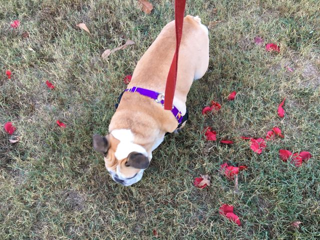 Fall fun! 