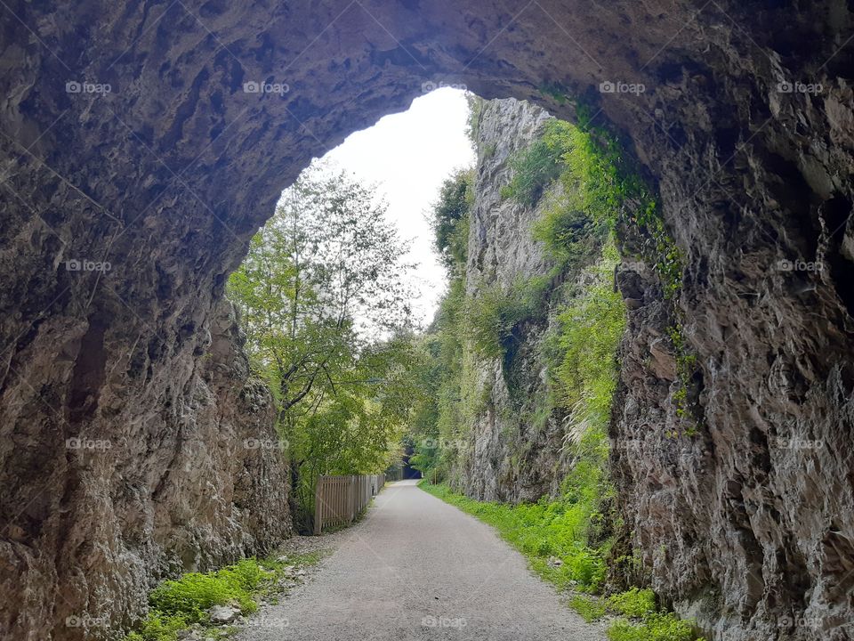 cave with green vegetation