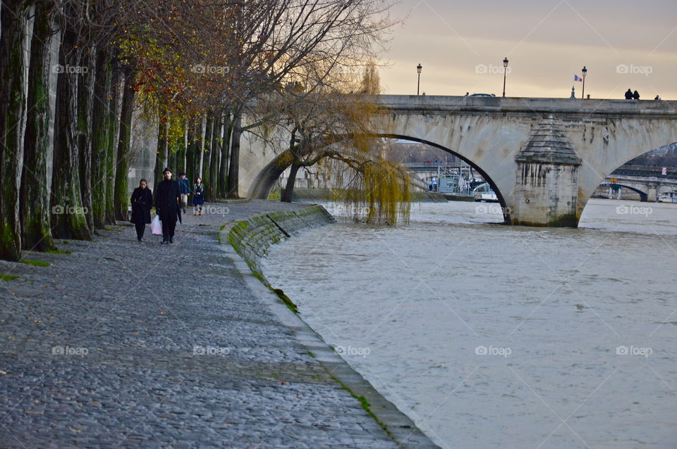 Seine