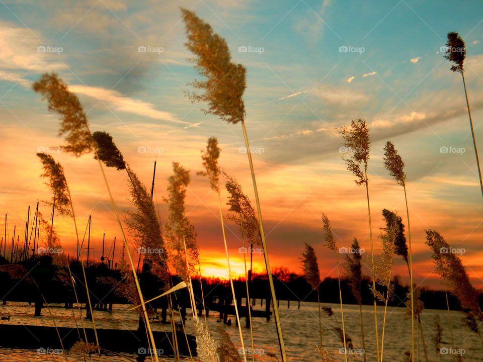 When the sun sets it creates blazing colors of pink, orange,burning reds purples, and golden yellows. One can only describe the sunset as incredibly beautiful.