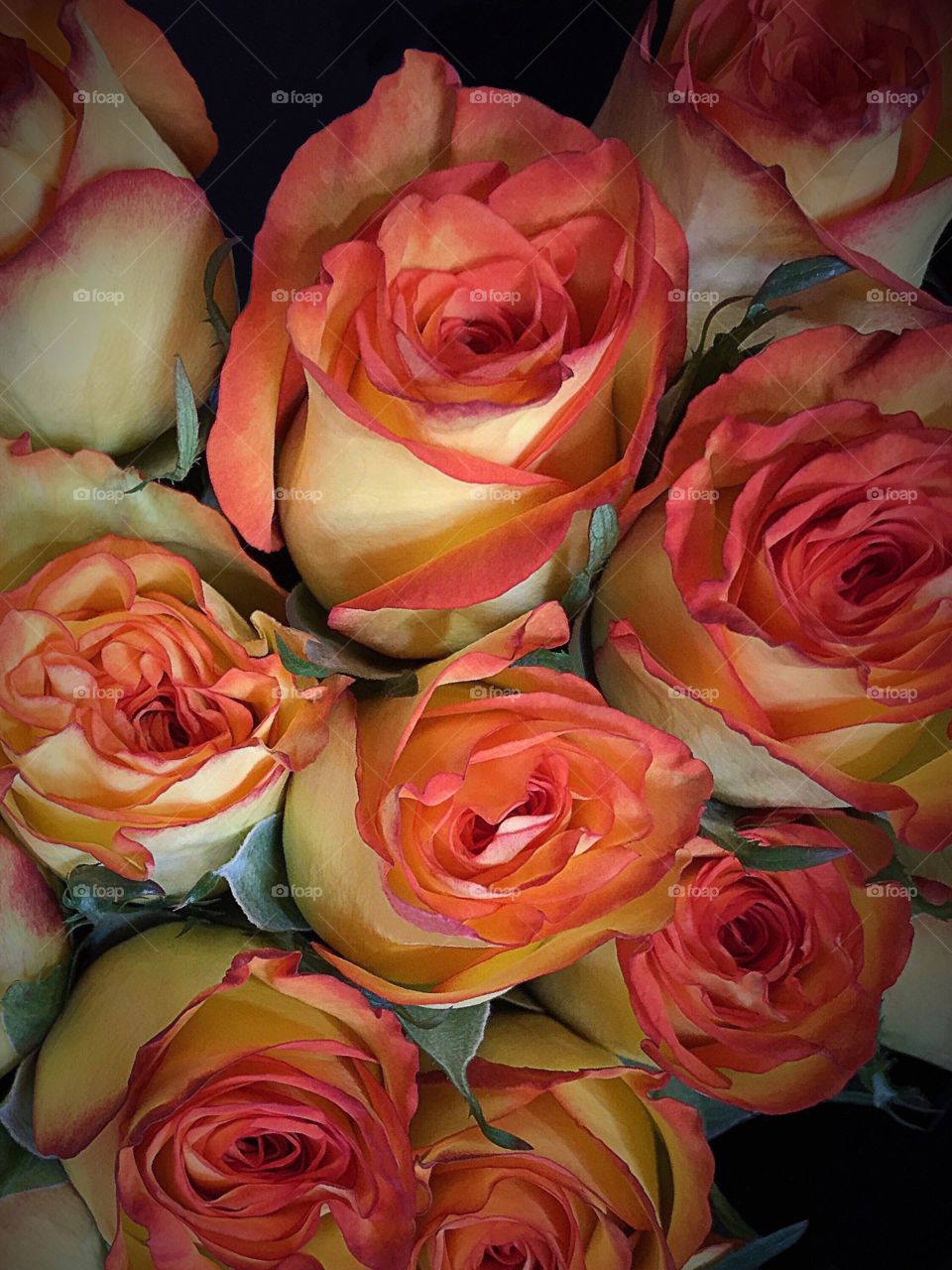 Orange and Yellow Bicolored Rose Bouquet 