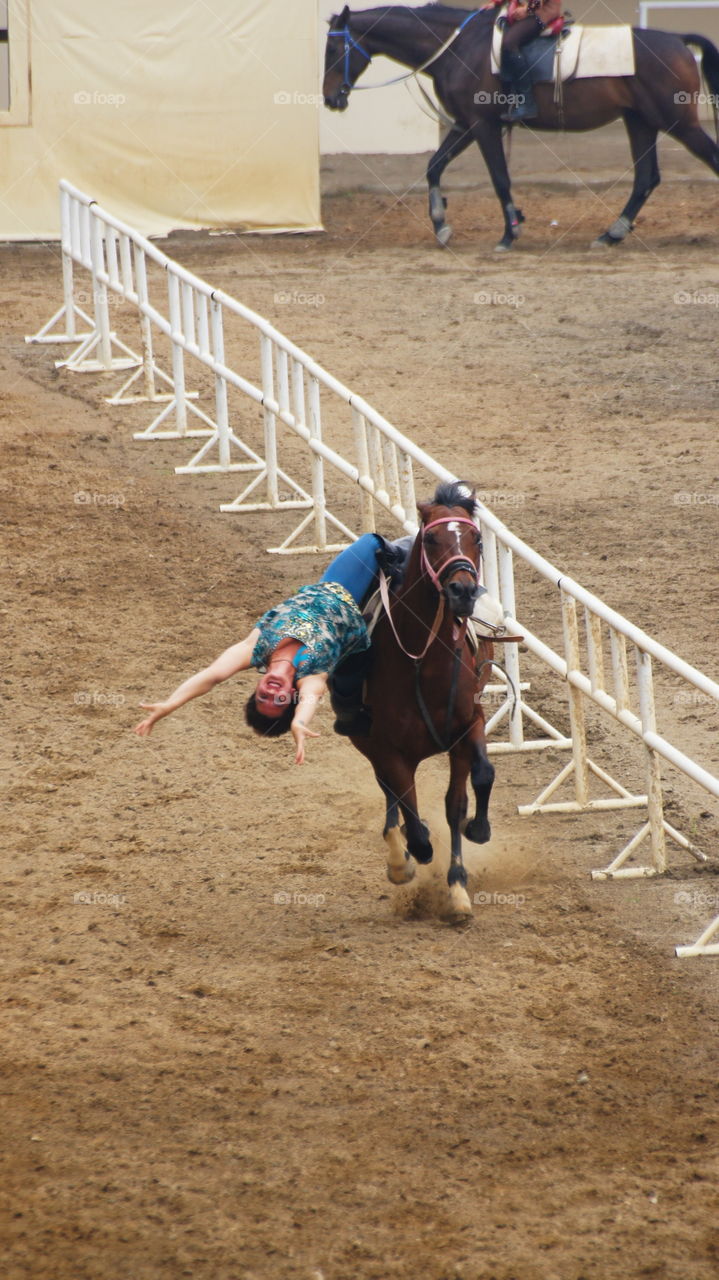 Equestrian performances 馬術表演