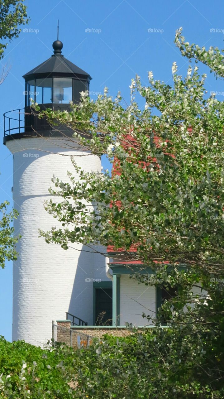 Pointe Bestie Lighthouse in summer