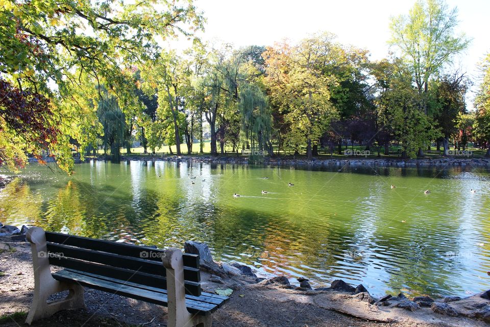 Pond in Longs Park, Lancaster PA