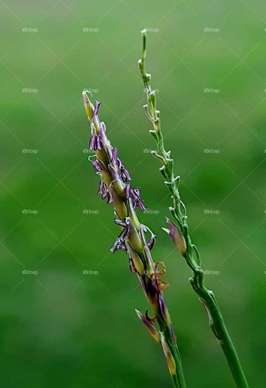 A beleza está onde você procura