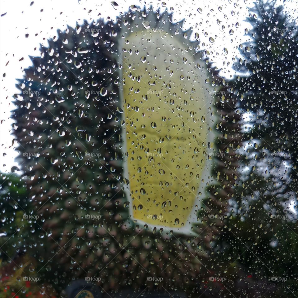 Rain drops on car window and giant durian sculpture.