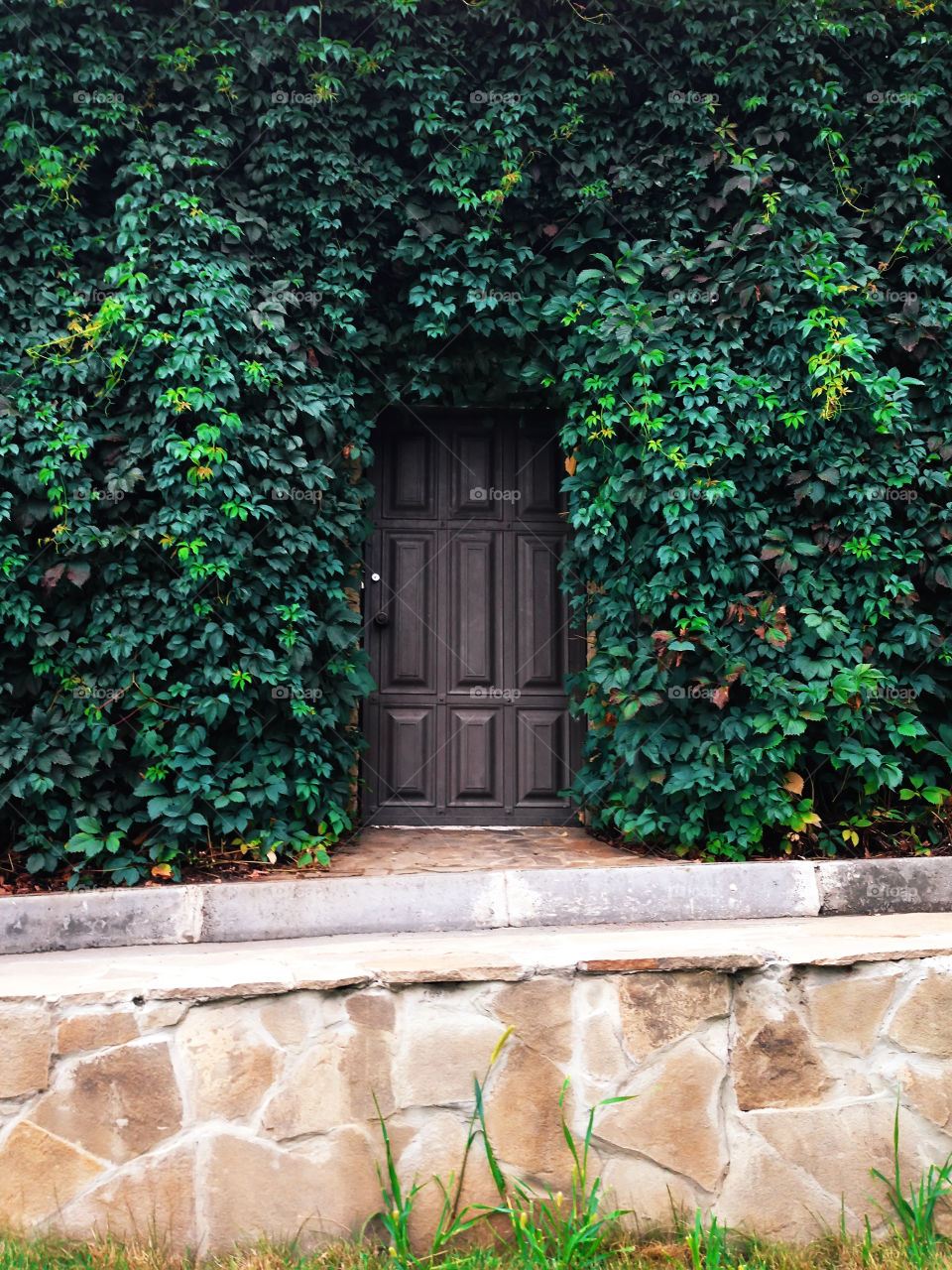 Door among green leaves 