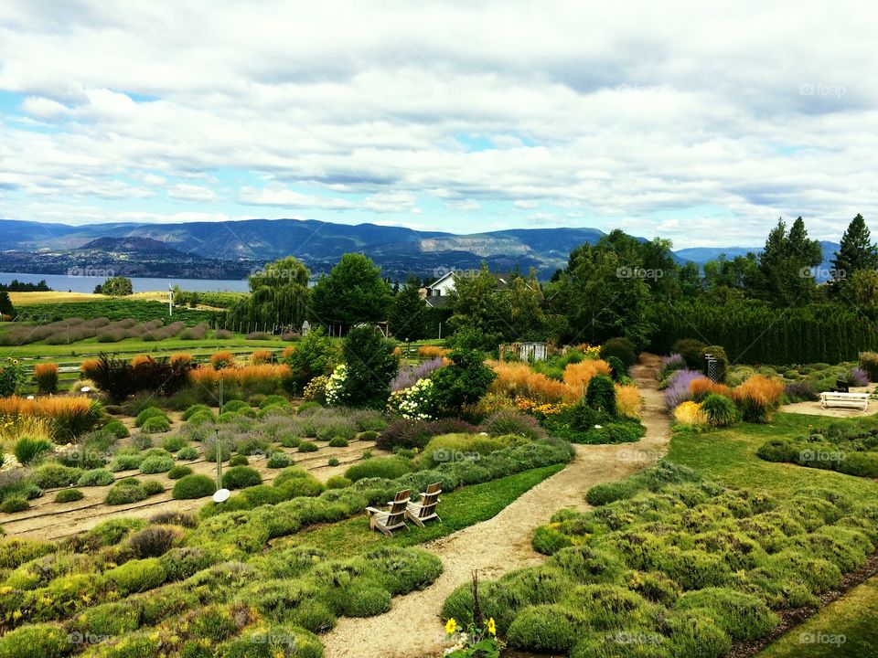 Okanagan Valley's organic lavender farm 