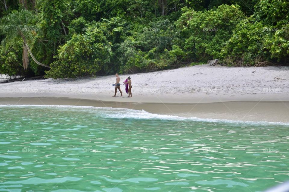 Green Brazil nature