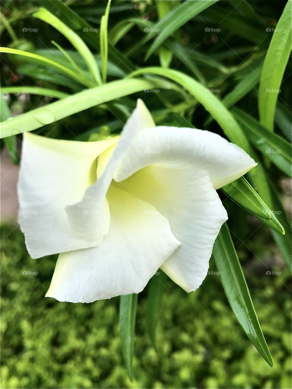 Upload the photo of the month July