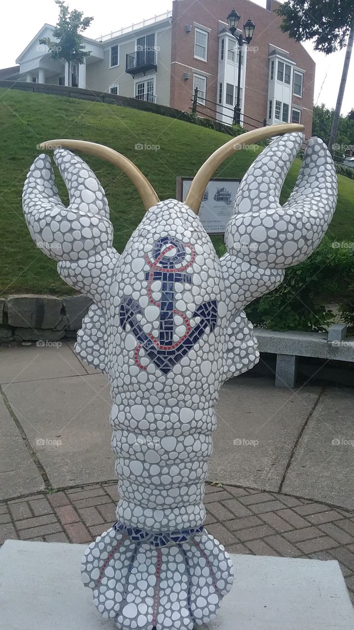 Painted Lobster of Plymouth,  Massachusetts 3
