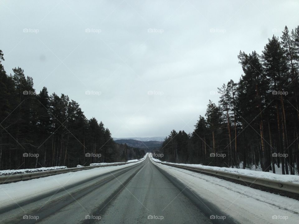 Winter road
