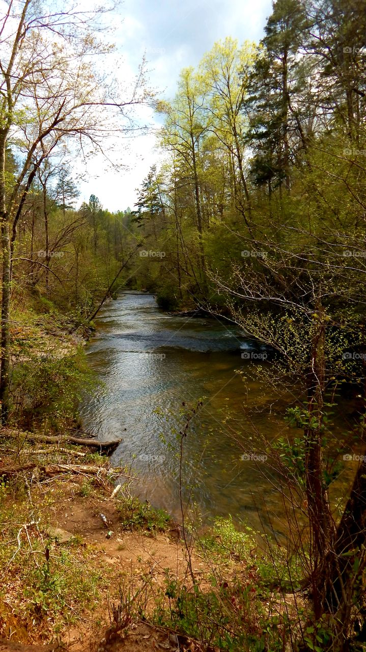 Middle Broad river on Lake Russell WMA in Georgia