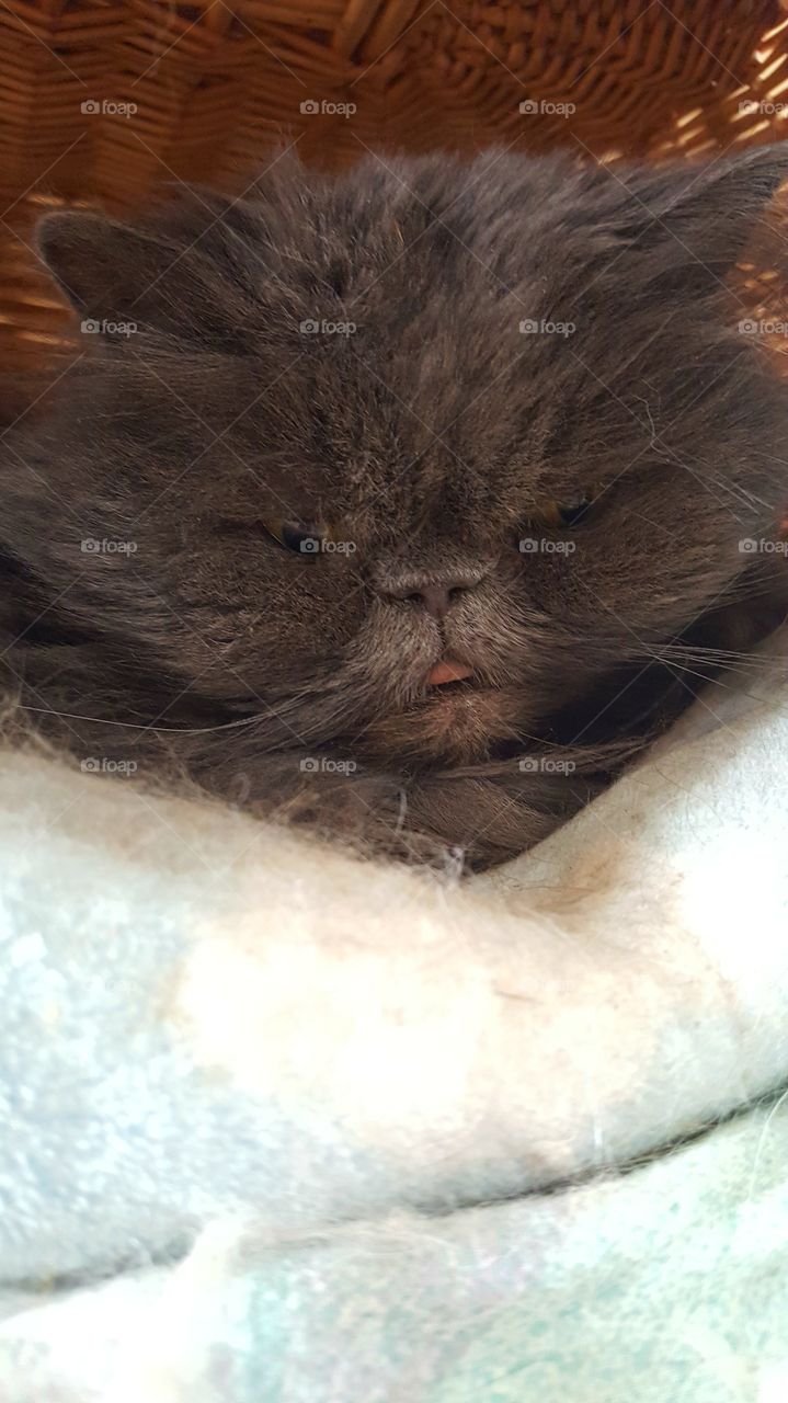 Beautiful macro shots