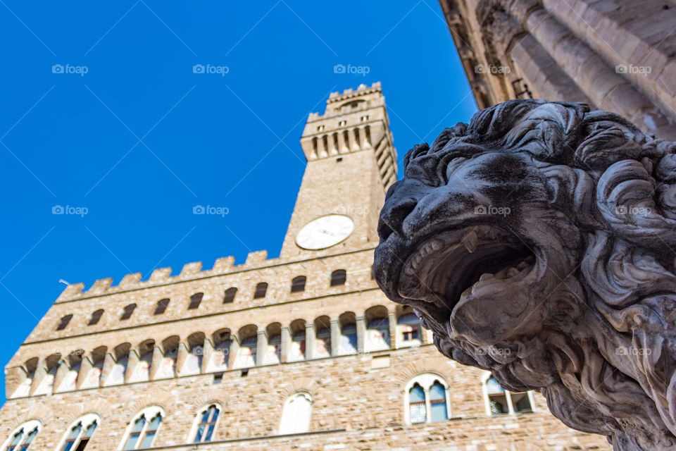 View on Palazzo vecchio in Florence. The photo has been taken during a sunny day in August.