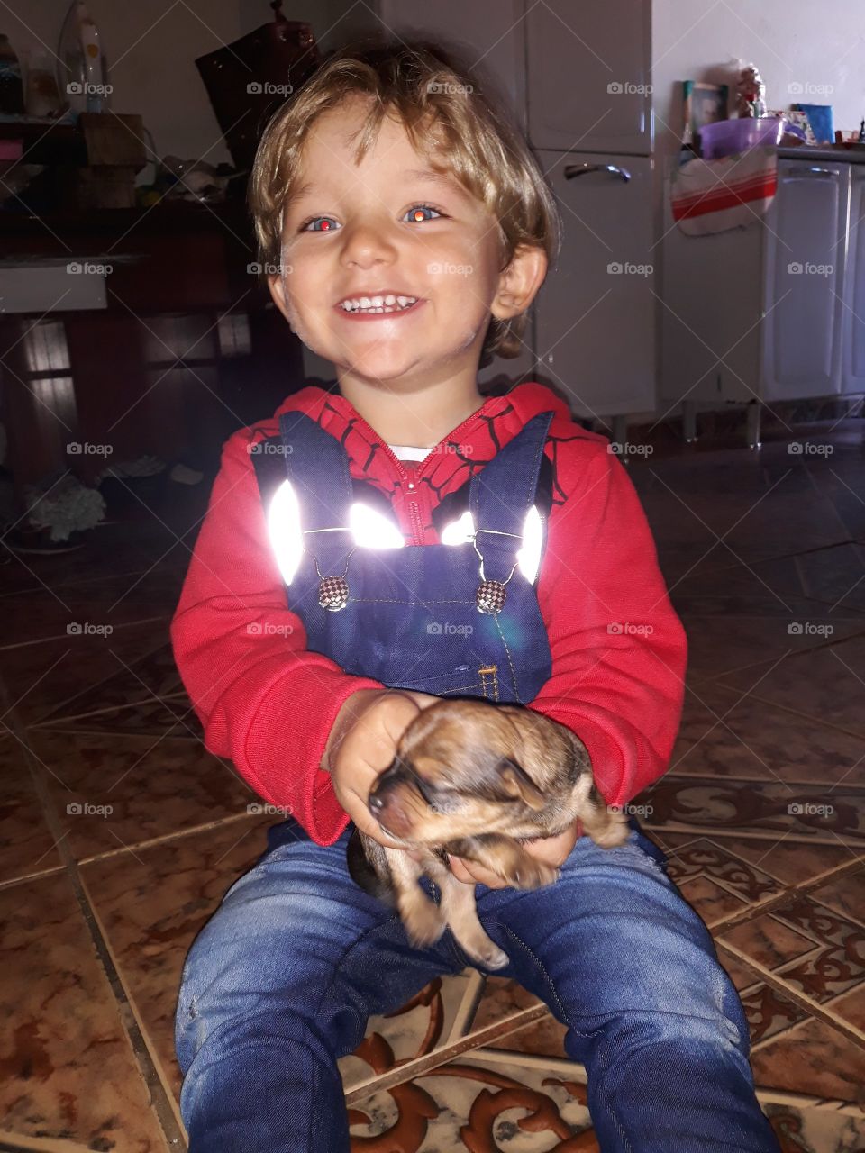 child playing with the dog