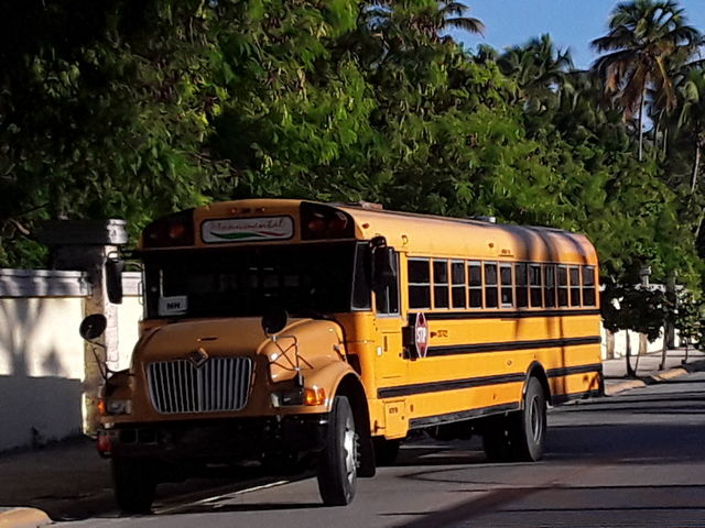 yellow bus