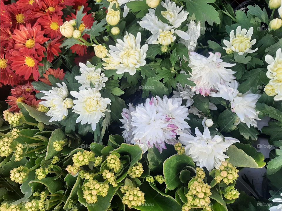 Please make me happy, I am poor, I need your help with support