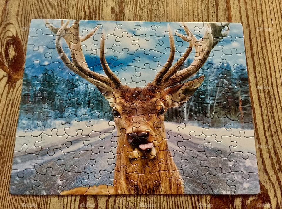 Puzzle of a deer sticking his tongue out
