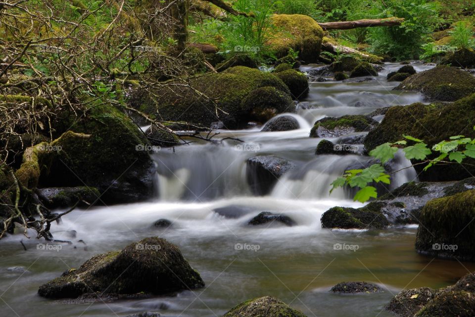 River Bovey