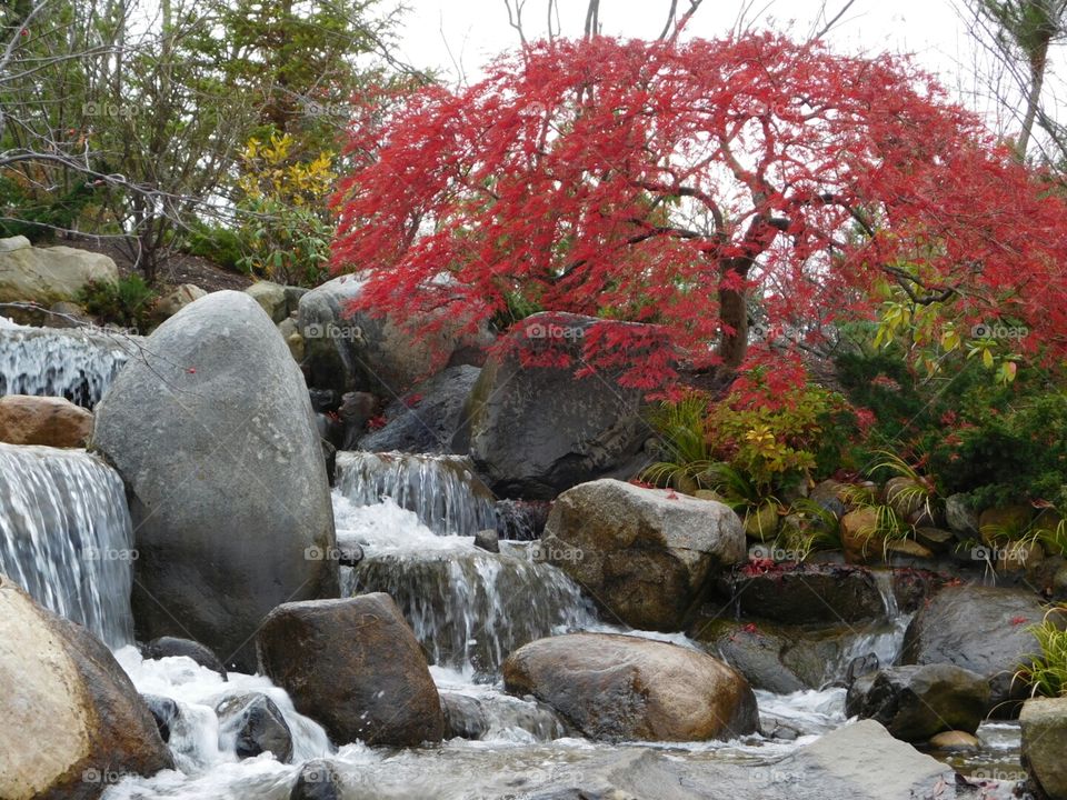 Waterfall in garden