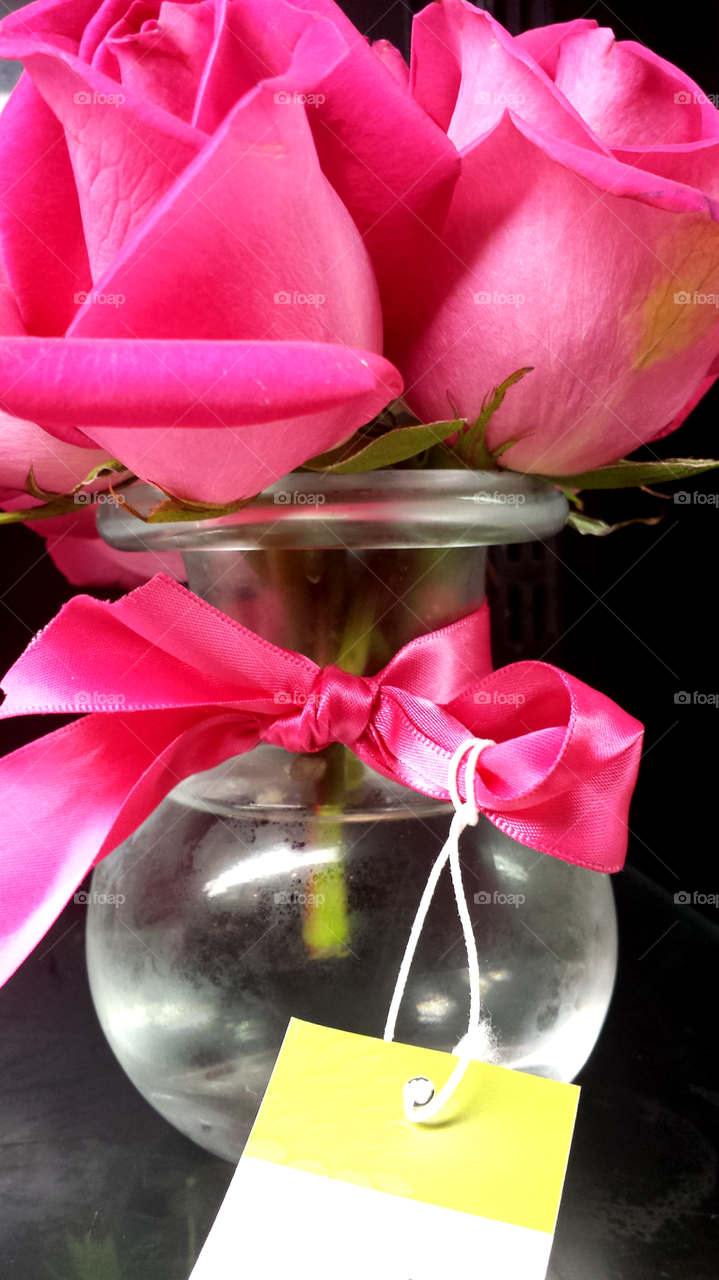 "Pink Roses in Vase"