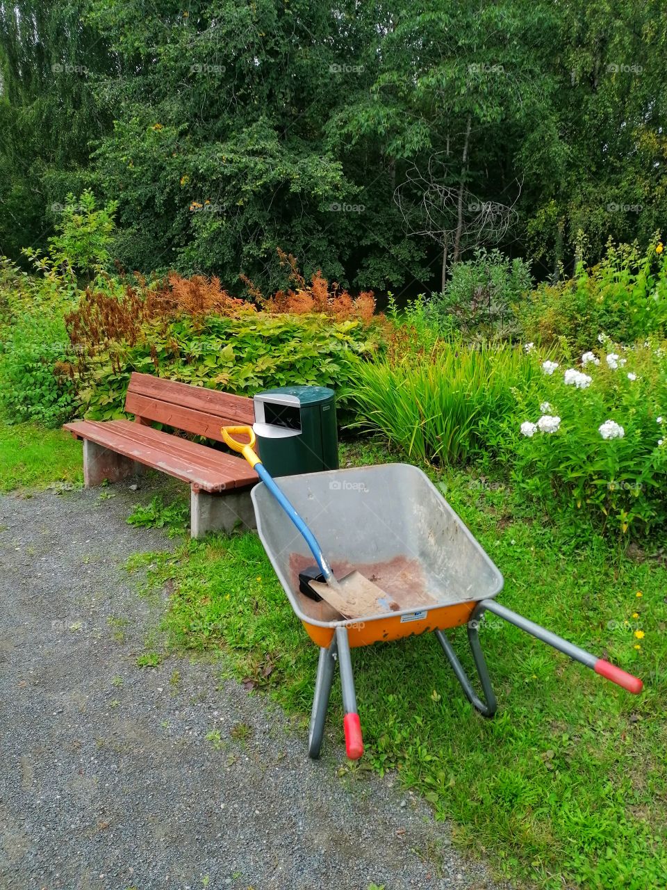 The Finnish garden needs a gardener in September. There are a lot of plants that need care for the winter.