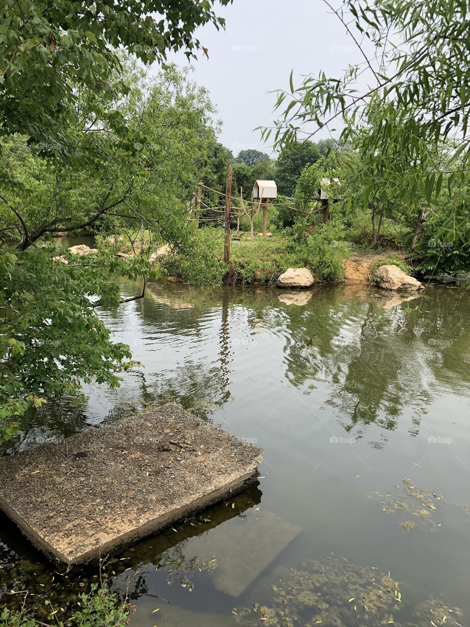 Nova Wild Zoo Habitat - Green and Lake for the animals 🌿