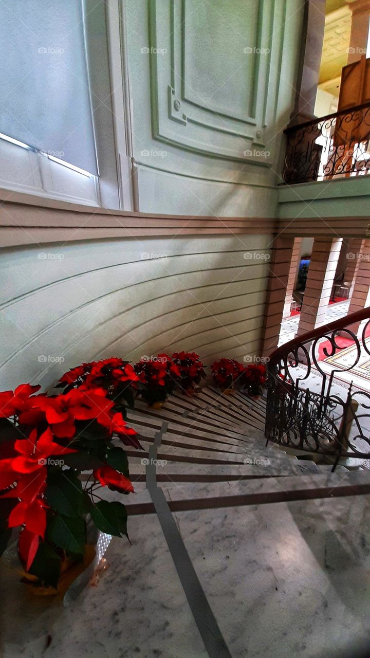 Steps,stairs, architecture, building, nochebuenas, old, colorful, minimalism, city