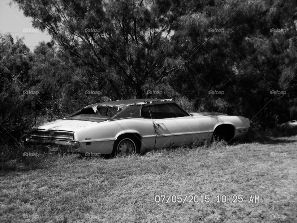 grand Trevino. This is a picture of a old 👵 car 🚗 that I saw while out walking 🚶 🏃 🔥 💨 this week in Graham Texas