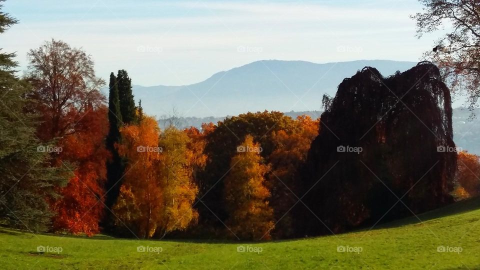 paysage d'automne