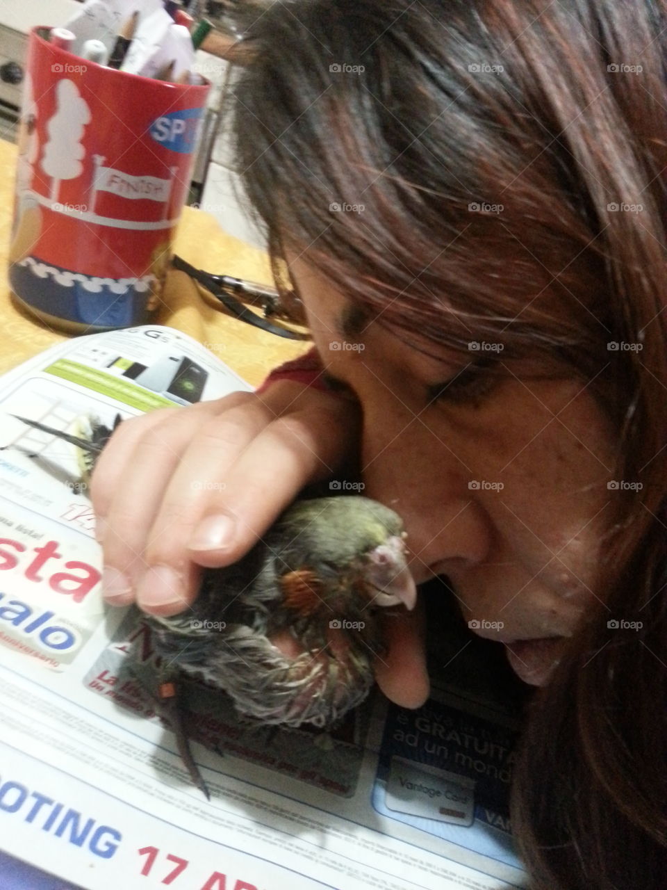 parrot friend kiss