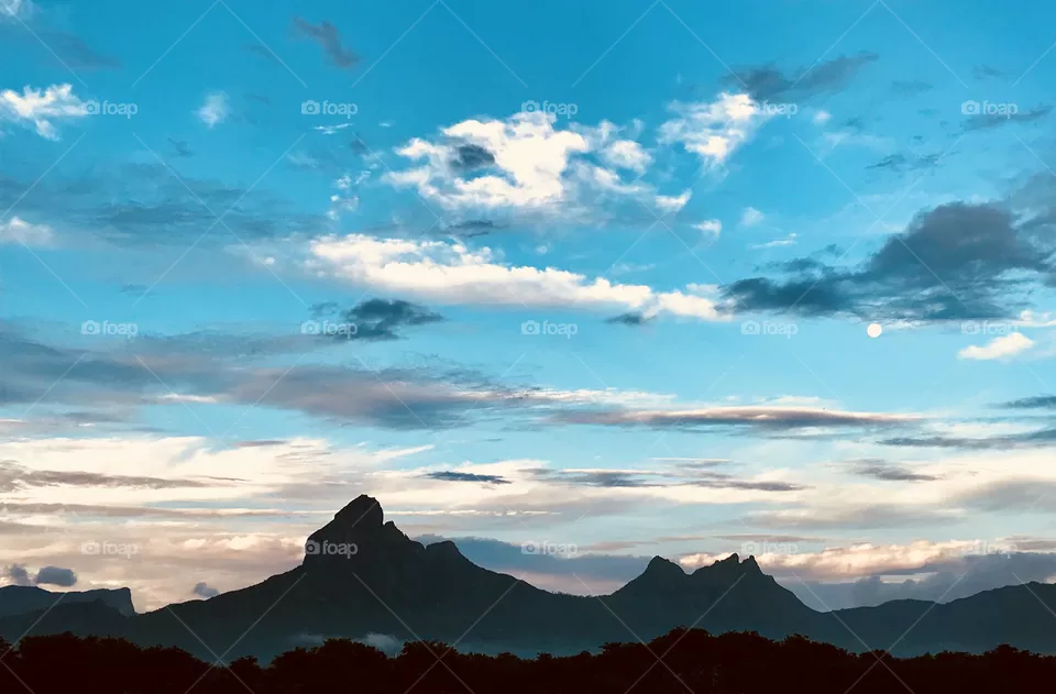 Nature