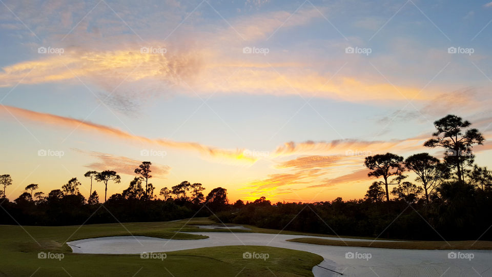 Silhouette of trees during sunset