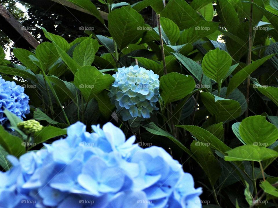 hot summer night cooled by icy blue.