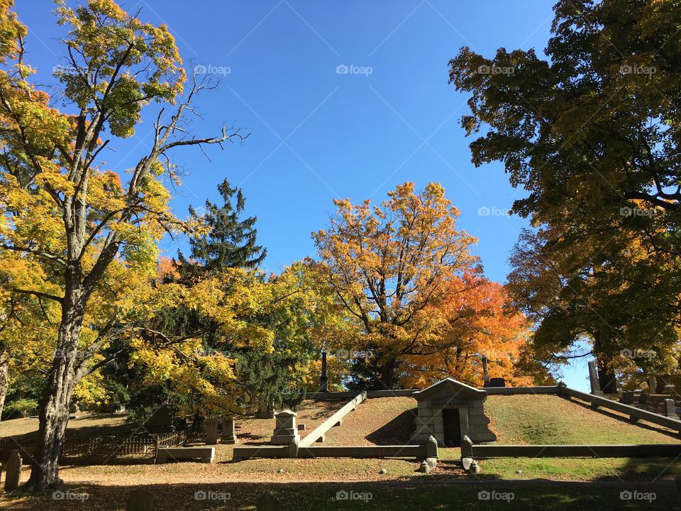Cemetery in the fall